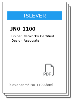 JN0-1100
