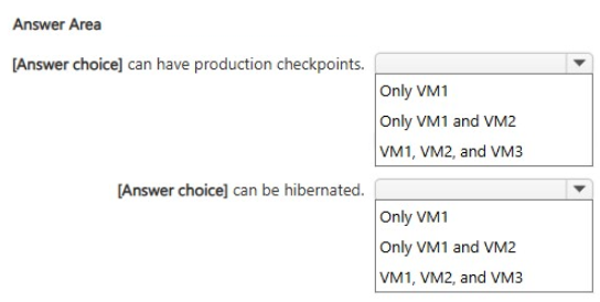 Exhibit: Hyper-V VM Hibernation Support by Configuration Version